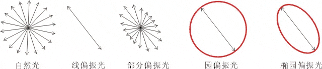 什么是偏振光？偏振光是如何完成檢測(cè)的？