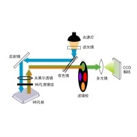 什么是熒光定量PCR、數(shù)字PCR？