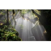 光的干涉、衍射、折射、反射、散射